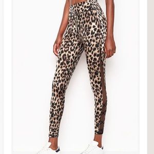Leopard Leggings
